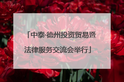 中泰·德州投资贸易暨法律服务交流会举行