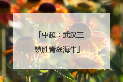 中超：武汉三镇胜青岛海牛