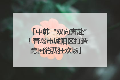 中韩“双向奔赴”！青岛市城阳区打造跨国消费狂欢场