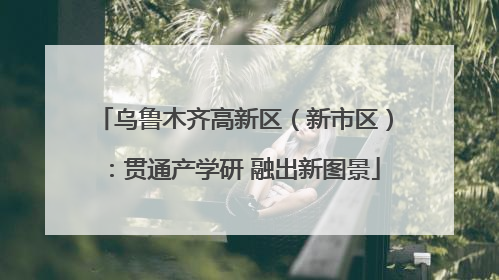 乌鲁木齐高新区（新市区）：贯通产学研 融出新图景