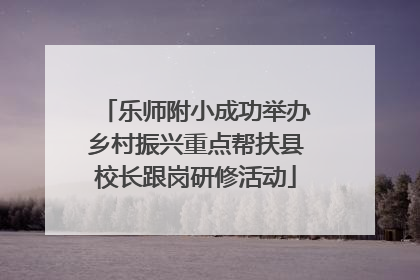 乐师附小成功举办乡村振兴重点帮扶县校长跟岗研修活动