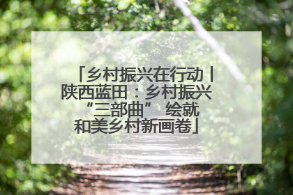 乡村振兴在行动丨陕西蓝田：乡村振兴 “三部曲” 绘就和美乡村新画卷