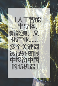 人工智能、半导体、新能源、文化产业……多个关键词透视外资眼中投资中国的新机遇
