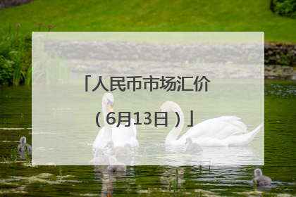 人民币市场汇价（6月13日）