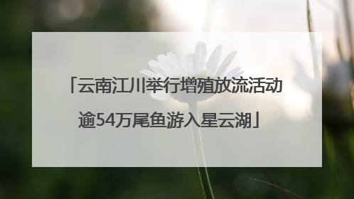 云南江川举行增殖放流活动 逾54万尾鱼游入星云湖