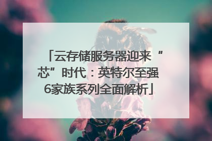 云存储服务器迎来“芯”时代：英特尔至强6家族系列全面解析
