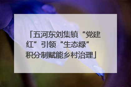 五河东刘集镇“党建红”引领“生态绿” 积分制赋能乡村治理