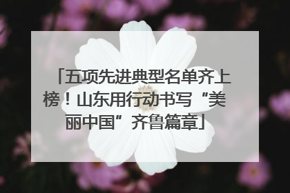 五项先进典型名单齐上榜！山东用行动书写“美丽中国”齐鲁篇章
