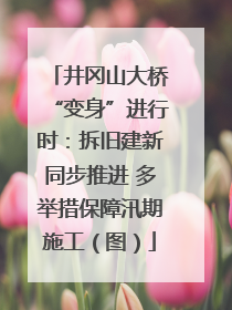 井冈山大桥“变身”进行时：拆旧建新同步推进 多举措保障汛期施工（图）