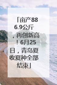 亩产886.9公斤，再创新高！6月25日，青岛夏收夏种全部结束