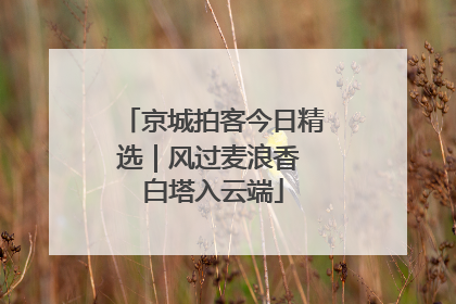 京城拍客今日精选｜风过麦浪香 白塔入云端