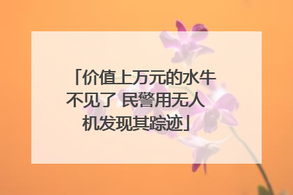 价值上万元的水牛不见了 民警用无人机发现其踪迹