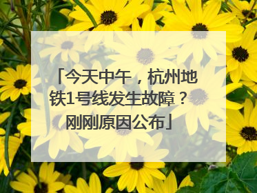 今天中午，杭州地铁1号线发生故障？刚刚原因公布
