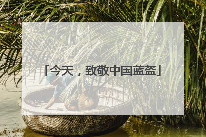 今天，致敬中国蓝盔