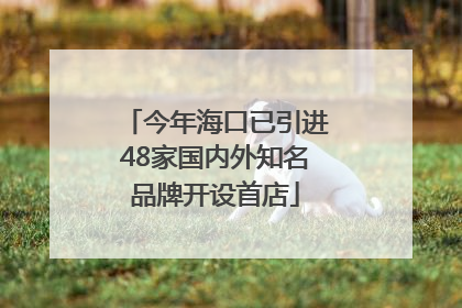 今年海口已引进48家国内外知名品牌开设首店