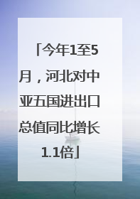 今年1至5月，河北对中亚五国进出口总值同比增长1.1倍