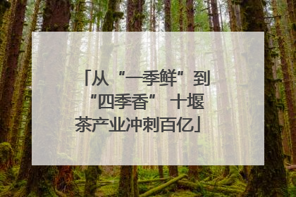 从“一季鲜”到“四季香” 十堰茶产业冲刺百亿