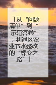 从“问题清单”到“示范答卷”：利通区农业节水整改的“蝶变之路”