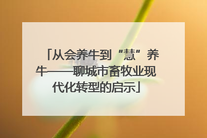 从会养牛到“慧”养牛——聊城市畜牧业现代化转型的启示