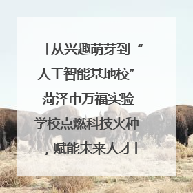 从兴趣萌芽到“人工智能基地校” 菏泽市万福实验学校点燃科技火种，赋能未来人才