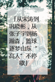 从宋涛到巩晓彬，从张子宇到杨瀚森，篮球逐梦山东“高人”不停歇