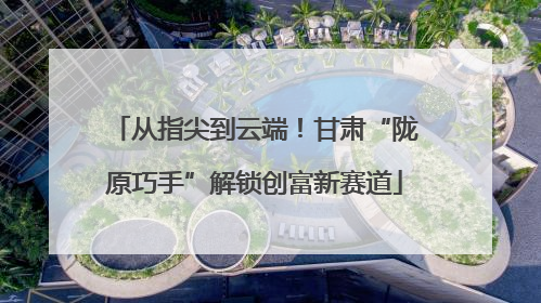 从指尖到云端！甘肃“陇原巧手”解锁创富新赛道