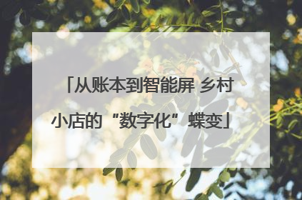 从账本到智能屏 乡村小店的“数字化”蝶变