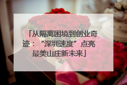 从隔离困境到创业奇迹：“深圳速度”点亮最美山庄新未来