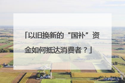 以旧换新的“国补”资金如何抵达消费者？