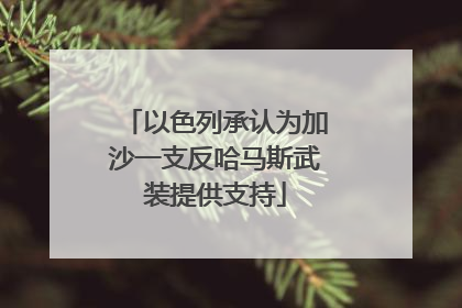 以色列承认为加沙一支反哈马斯武装提供支持