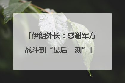 伊朗外长：感谢军方战斗到“最后一刻”