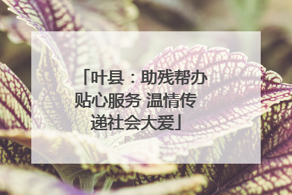 叶县：助残帮办贴心服务 温情传递社会大爱
