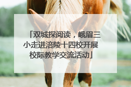 双城探阅读，峨眉三小走进涪陵十四校开展校际教学交流活动