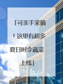 可亲手采摘！这里有超多夏日时令蔬菜上线