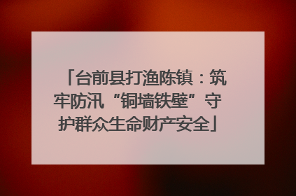 台前县打渔陈镇：筑牢防汛“铜墙铁壁”守护群众生命财产安全