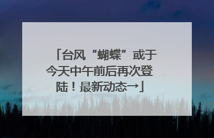 台风“蝴蝶”或于今天中午前后再次登陆！最新动态→