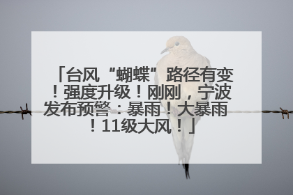 台风“蝴蝶”路径有变！强度升级！刚刚，宁波发布预警：暴雨！大暴雨！11级大风！