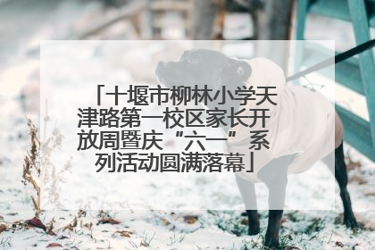 十堰市柳林小学天津路第一校区家长开放周暨庆“六一”系列活动圆满落幕