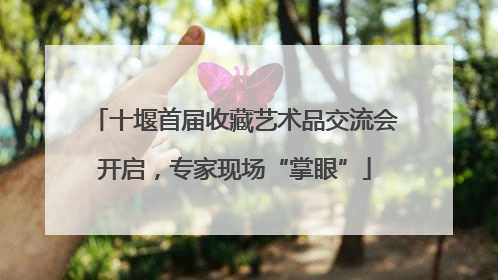 十堰首届收藏艺术品交流会开启，专家现场“掌眼”