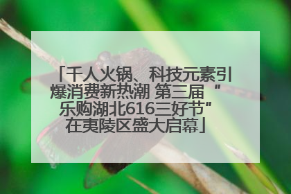 千人火锅、科技元素引爆消费新热潮 第三届“乐购湖北616三好节”在夷陵区盛大启幕