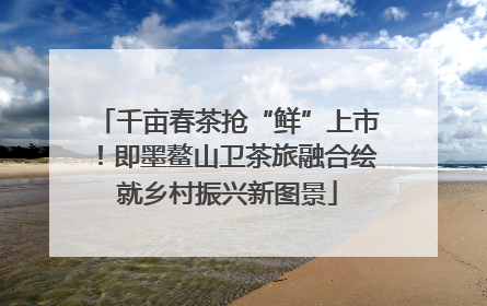 千亩春茶抢“鲜”上市！即墨鳌山卫茶旅融合绘就乡村振兴新图景