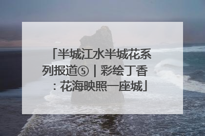 半城江水半城花系列报道⑤｜彩绘丁香：花海映照一座城