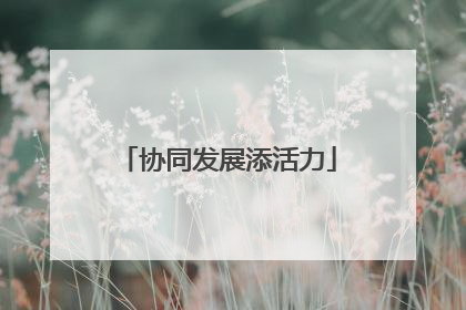 协同发展添活力