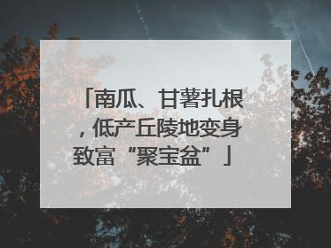 南瓜、甘薯扎根，低产丘陵地变身致富“聚宝盆”