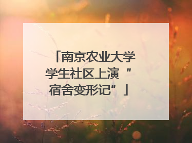南京农业大学学生社区上演“宿舍变形记”