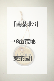 南茶北引→8亩荒地变茶园