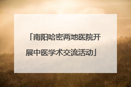 南阳哈密两地医院开展中医学术交流活动