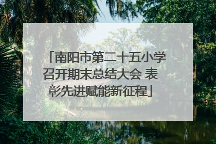 南阳市第二十五小学召开期末总结大会 表彰先进赋能新征程