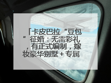 卡皮巴拉“豆包”征婚：无需彩礼，有正式编制，嫁妆豪华别墅＋专属泳池！