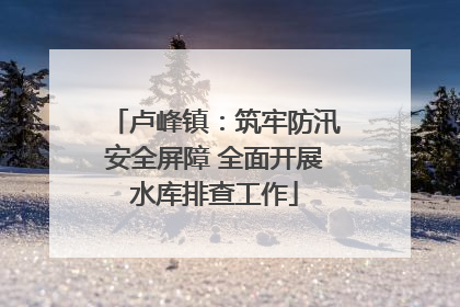 卢峰镇：筑牢防汛安全屏障 全面开展水库排查工作